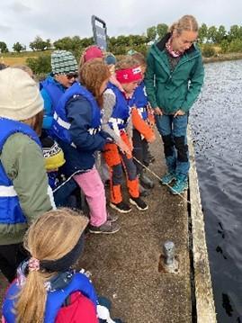 Klikk for stort bilde