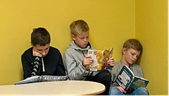 Klikk for stort bilde