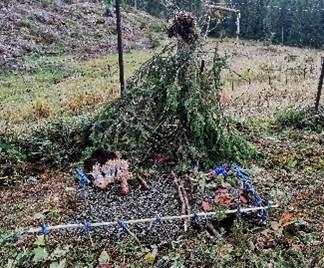 Klikk for stort bilde